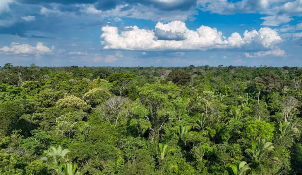 Floresta Amazônica
