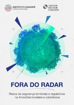 Fora do radar - riscos de segurança territorial e regulatória na Amazônia Brasileira e colombiana