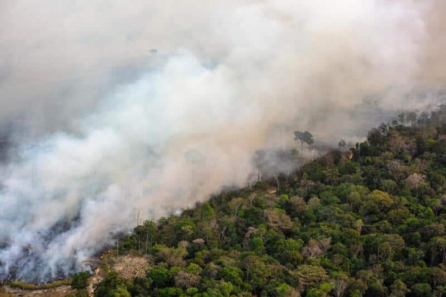 Greenpeace Brazil conducted an aerial survey in southern Amazonas and northern Rondônia to monitor deforestation and fires in July 2024. With over 10,000 hotspots just this month, the country has set a record for fire activity in nearly twenty years in the Amazon. Forest fires and burns were also reported in Conservation Units and properties financed with rural credit.
O Greenpeace Brasil realizou sobrevoo no sul do Amazonas e no norte de Rondônia para monitorar o desmatamento e queimadas em julho de 2024. Com mais de 10 mil focos somente neste mês, o país tem recorde de fogo para o período em quase vinte anos na Amazônia. Incêndio florestal e queimadas também foram registrados em Unidades de Conservação e propriedades financiadas com crédito rural.
