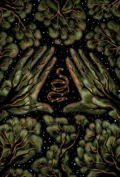 Guided by the stars (Winny Tapajós)