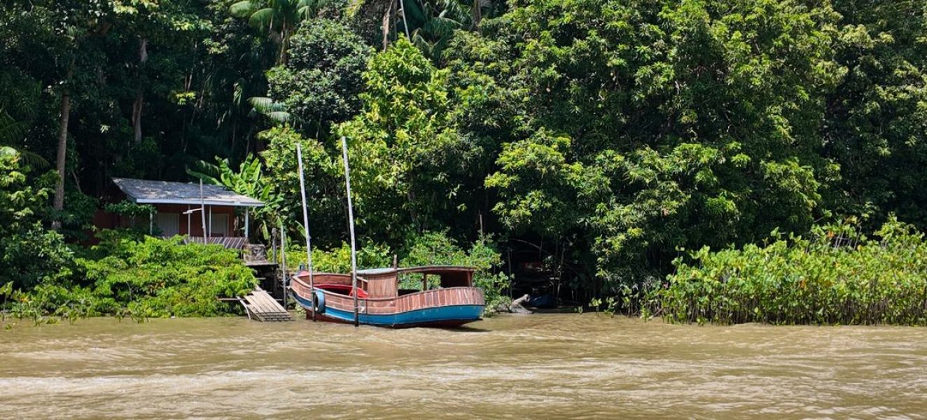 Ilha do Combu