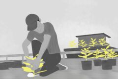 Ilustracao-Amazonia-Sob-Pressao-Portel-1