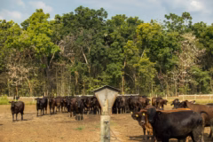 JVJ7JSHZDFBQFIL53P3HSZVMME