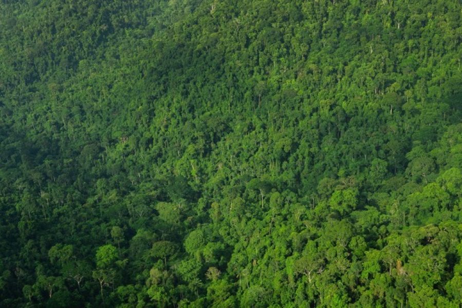 LIP5O5VGPBEYNKZYS7RPYN7NEI-Media