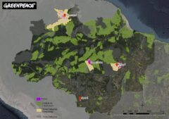 Localização das Terras Indígenas monitoradas pelo Greenpeace Brasil