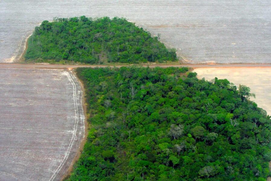 Mato_Grosso_deforestation_Pedro_Biondi_12ago2007