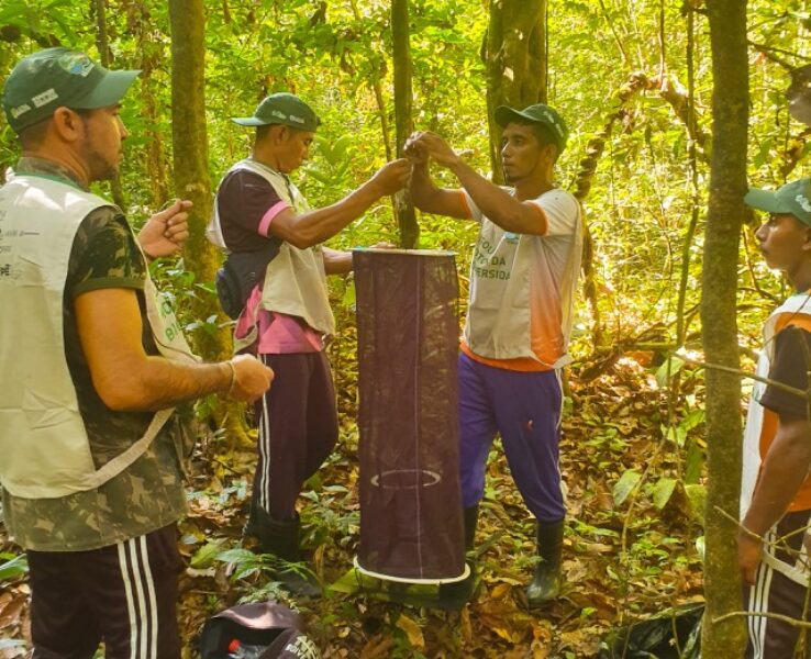 Monitoramento-na-Flona-de-Caxiuana_Foto-Simone-Albarado_IFT-scaled Média