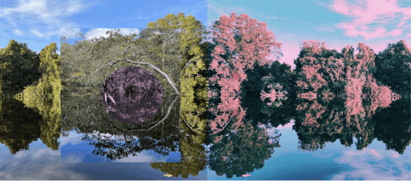 Movimentos-e-Paisagens-1200x528-1