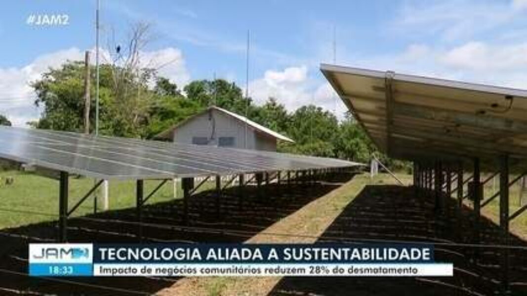 Negócios comunitários reduzem desmatamento em 28%