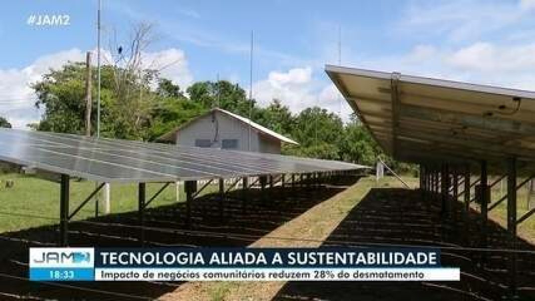Negócios comunitários reduzem desmatamento em 28%
