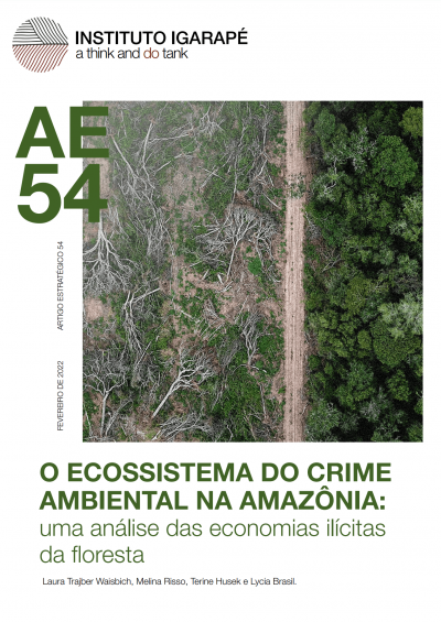 O ECOSSISTEMA DO CRIME AMBIENTAL NA AMAZÔNIA