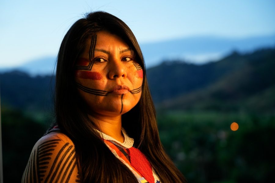 OeKaiapo_funai_fernando_martinho_reporter_brasil