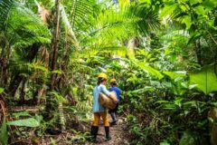 Pará lidera investimentos sociais na Amazônia Legal