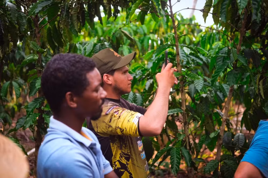 Projeto move a bioeconomia na Amazonia