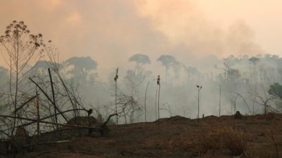 Queimadas-Rondonia-Amazonia-1080-848x477