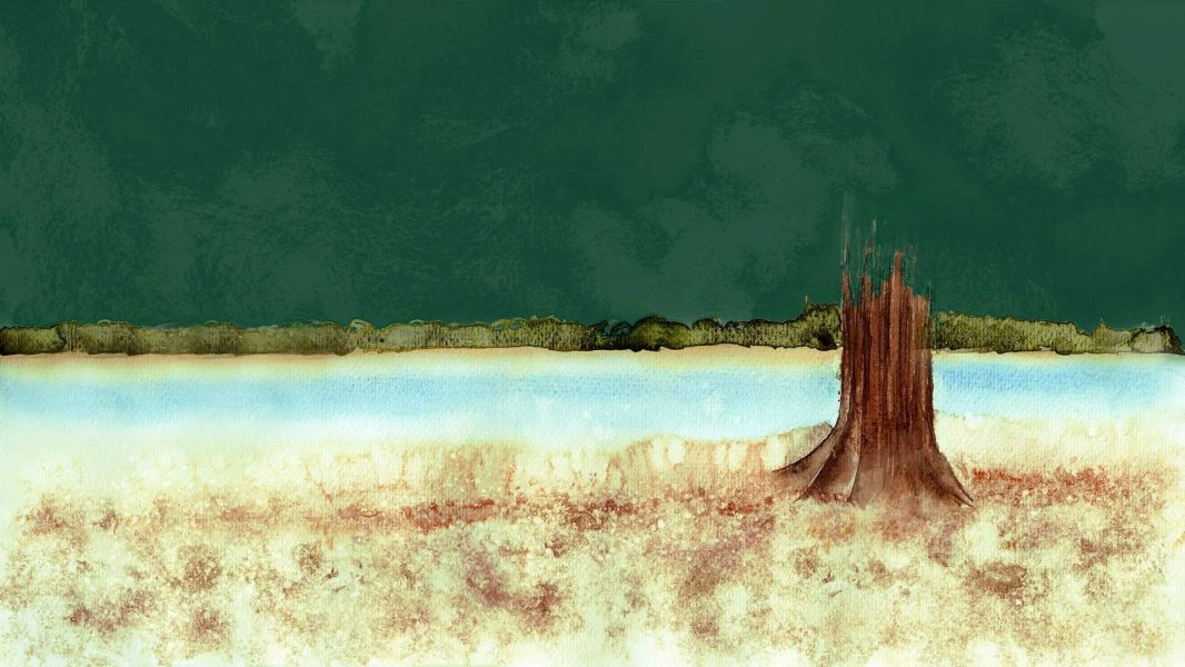 REPORTAGEM_MANEJO-SECA_1920x1080 (1)