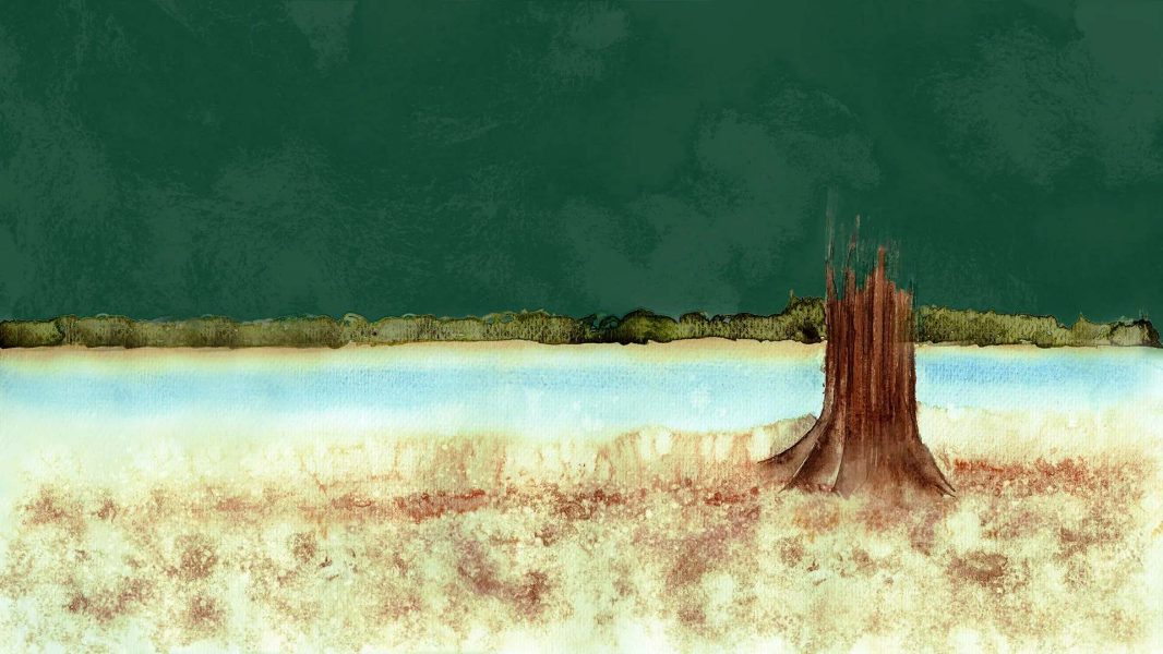 REPORTAGEM_MANEJO-SECA_1920x1080