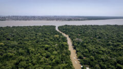 RPF-cop-belem-2025-11-1140