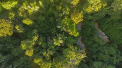 RS115889_demarcao-das-terras-nawa_amazonia-real_alexandre-cruz-noronha_51374782197_o