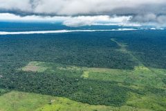 RS98008_RA_isa_sobrevoo_altamira_14032022_4704 (1)