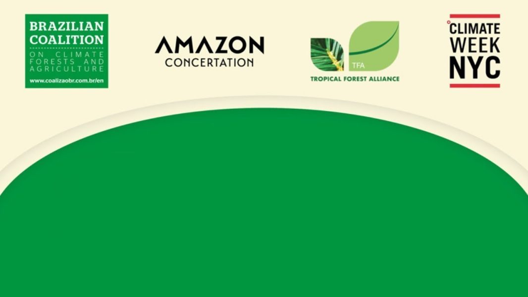 Redes pelo clima - iniciativas da sociedade civil e do setor privado na agenda da sustentabilidade