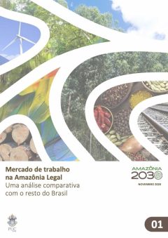 Relatorio-Final-Mercado-de-Trabalho-na-Amazonia