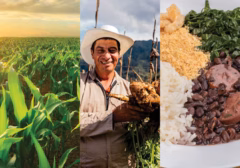 Relatório de Uma Concertação pela Amazônia e iCS propõe soluções para conciliar produção de alimentos