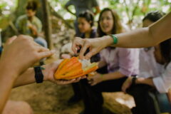 Renata-Piazzon-Instituto-Arapyau-05-1200x801