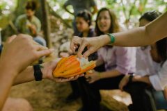 Renata-Piazzon-Instituto-Arapyau-05-1200x801