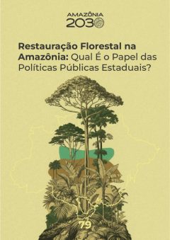 Restauracao-Florestal-na-Amazonia-Papel-das-Politicas-Publicas-Estaduais