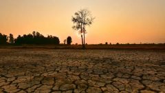 Seca-causada-pelo-El-Nino-Foto-Khenyothaa-Shutterstock