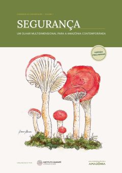 Segurança um olhar multidimensional para a Amazônia contemporânea