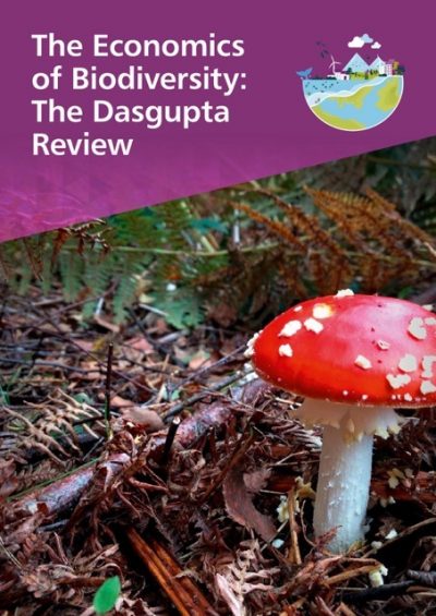 The_Economics_of_Biodiversity_The_Dasgupta_Review_Full_Report-imagens-1 Média