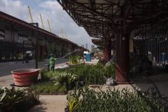 Trabalhadores regam mudas nos jardins do Porto Futuro 2