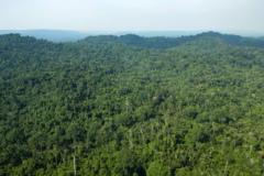 WKSHHA23JVGTPABMWWNTGFBJHY