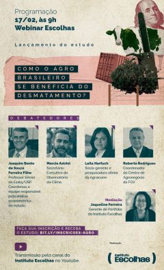 Webinar escolhas