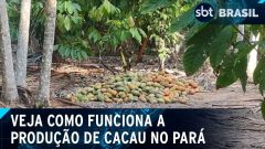 YTTCZRVXU5A53A