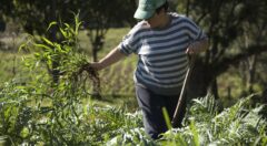 agricultura-scott-warren