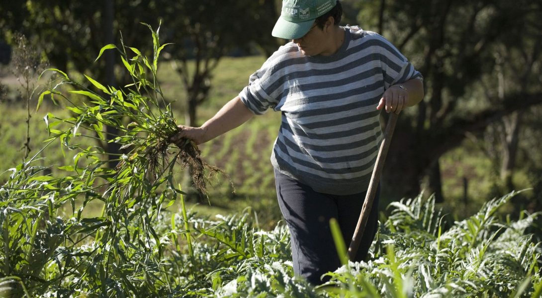 agricultura-scott-warren