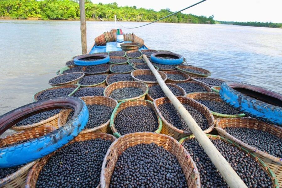 agro_acai_29jun25_Getty-1024x683