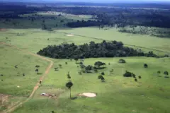 amazonia-area-sem-destinacao