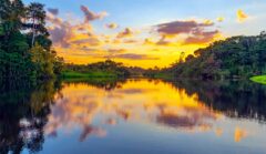 amazonia-por-do-sol