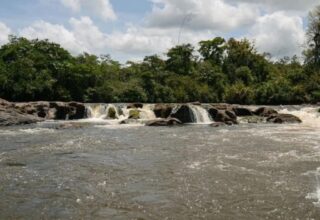amazonia-registra-a-primeira-unidade-de-conservacao-estadual-do-brasil-em-programa-internacional-da-lista-verde