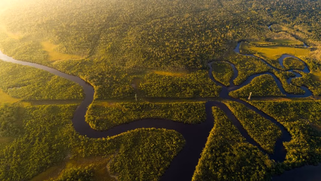 amazonia_1765851539088