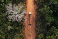 aminhão carrega troncos na Terra Indígena Kaxarari