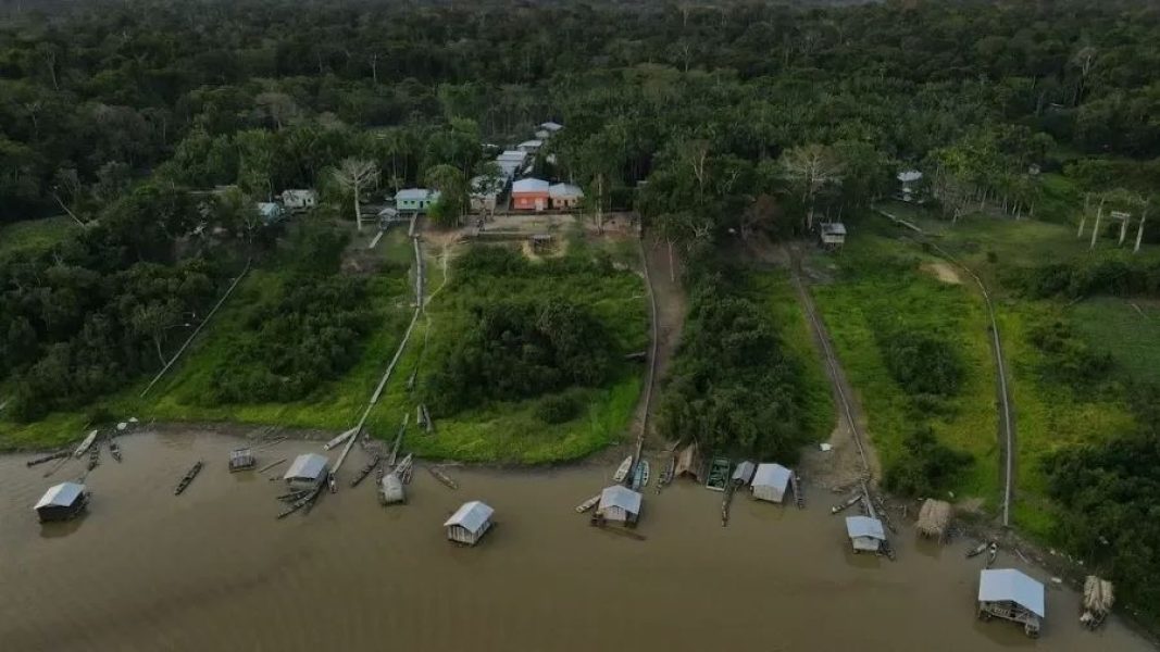 area-de-manejo-do-pirarucu-no-medio-jurua-no-municipio-de-carauari-am