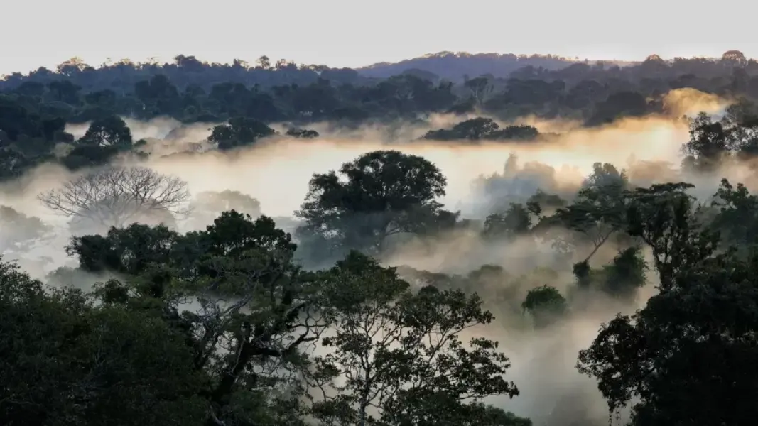 area-do-parque-cristalino-2