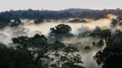 area-do-parque-cristalino-2