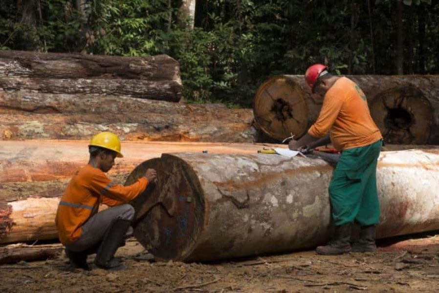 b0b7a7f94d7d45a79eedad7572238465