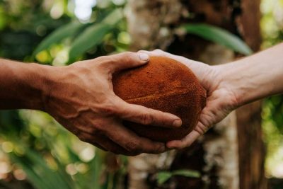 bioeconomia-amazonia-cupuacu